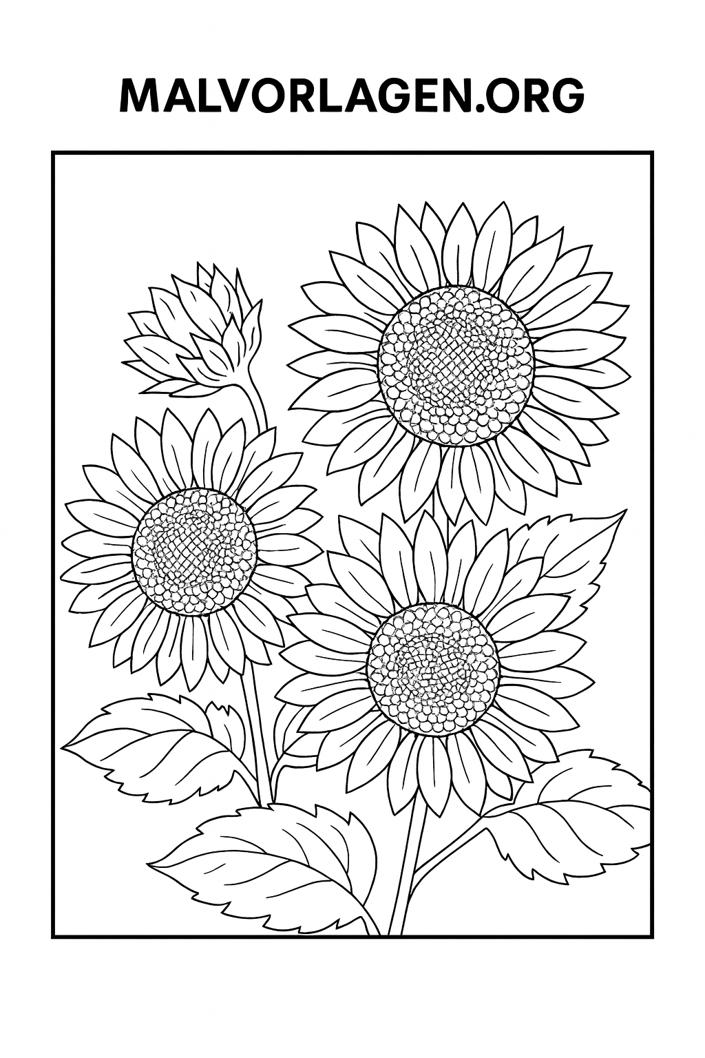Sonnenblumen
